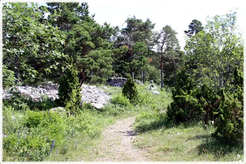 Gammelslott, fornborg, foto Bernt Enderborg