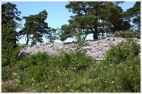 Ire södra fornborg