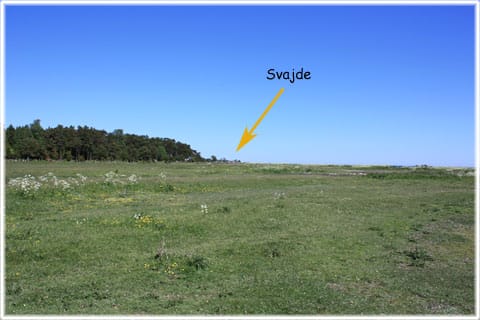 Betade strandängar vid Svajde