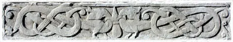 Ormalur, ormödlor, foto Bernt Enderborg