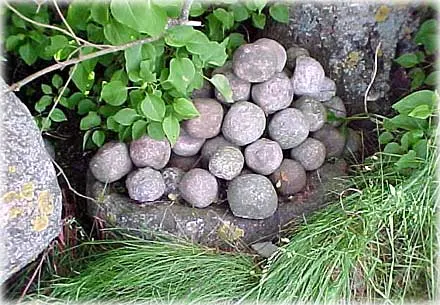 Slungsten , foto Bernt Enderborg