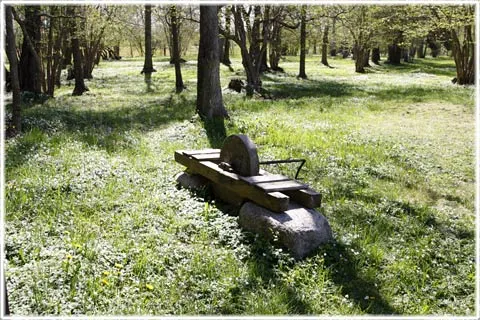 Hummelbos änge, foto Bernt Enderborg