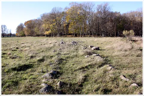 Gutnaltinget - marknadsplats, varv, foto Bernt Enderborg