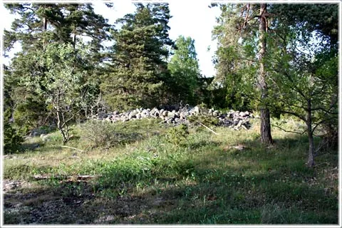 Disroir, disrojr, foto Bernt Enderborg