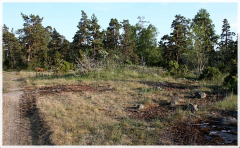 Disroir i Vänge på Gotland