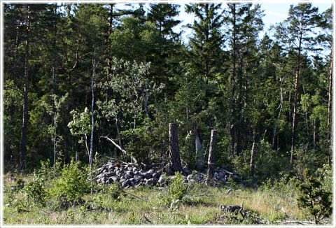 Stenröse i Lojsta på Gotland