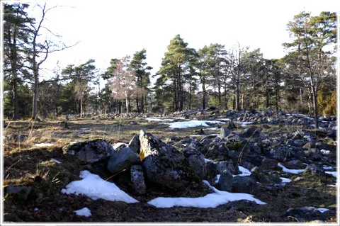 Botvatte fornborg, foto Bernt Enderborg