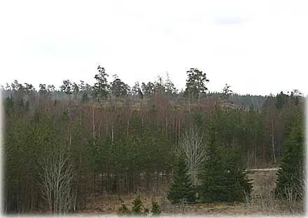 Killinga - fornborgarna , foto Bernt Enderborg