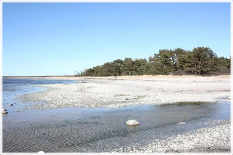 En utflykt till Snoder strand, foto Bernt Enderborg