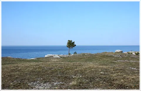 Ståndpunkter för Gotlandstrafiken, foto Bernt Enderborg