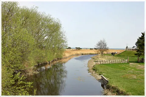 Ormkvinnans barn 2006, foto Bernt Enderborg