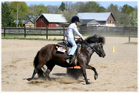Western Riders Gotland, arena i Vänge