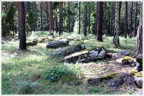 Djurmännen i Sanda