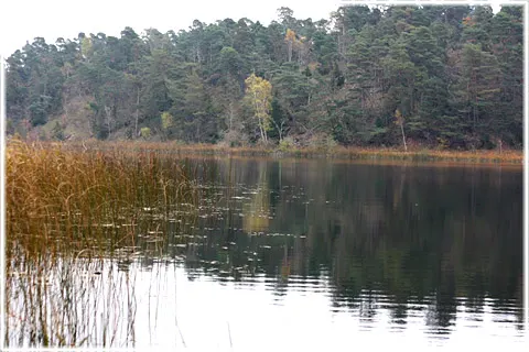 Hageby träsk, foto Bernt Enderborg