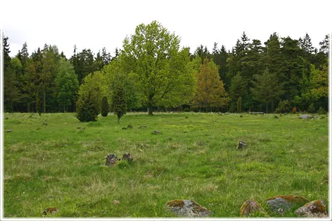 Folegrana, fornborgen vid Fole granar, foto Bernt Enderborg