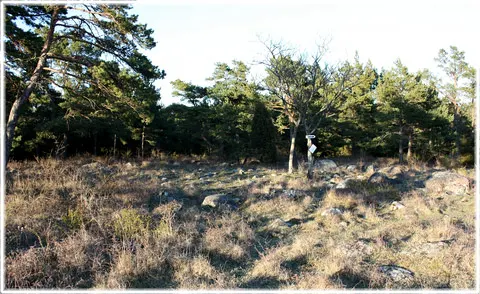 Stensättningar, bronsålder, foto Bernt Enderborg