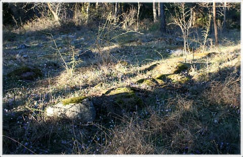 Stensättning från bronsåldern