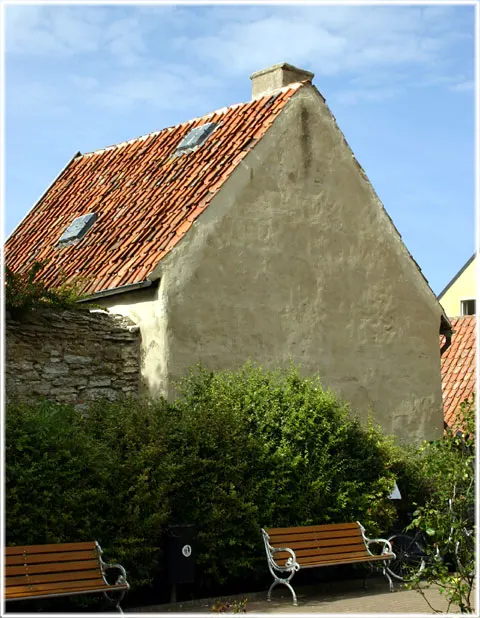 Åttahundra år gammal skugga, foto Bernt Enderborg