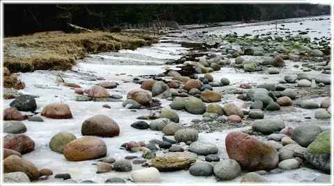 En vinterpromenad 2007, foto Bernt Enderborg