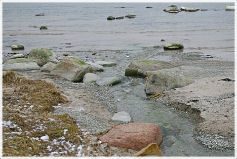Vinter på Gotland