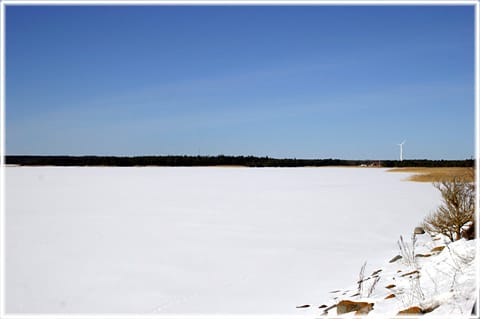 Bogeviken på vintern