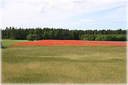 Uppslag 3525