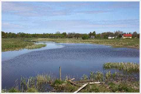 Fiskerännor i Västergarn