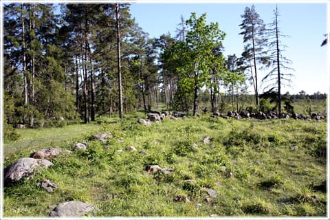 Gajtkörku i Levide