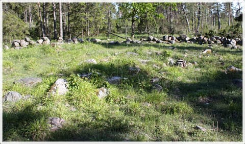 Gaitkörku i Levide