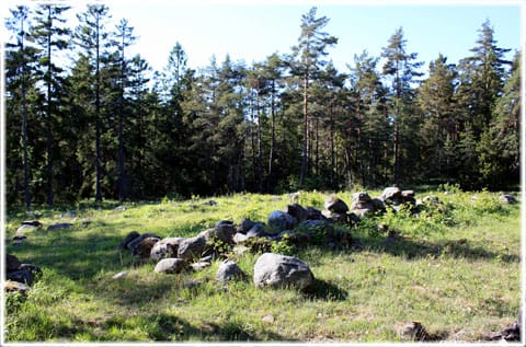 Gajtkörku i Levide