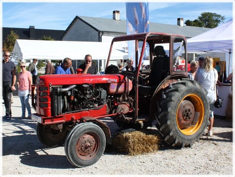Gotlands skördefestival