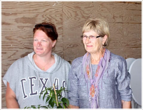 Gotlands skördefestival