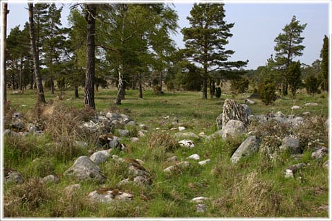 Utgång på Gudings slott, fornborg i Eke