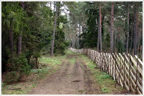 Vad kallas hela jorden på gutniska, foto Bernt Enderborg