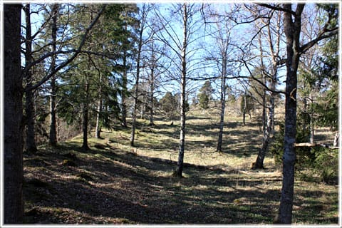 Bendesborg