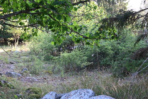Järnåldersgården Fohle, Folar
