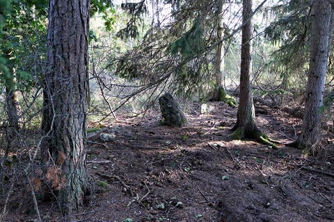 Järnåldersgården Fohle, Folar