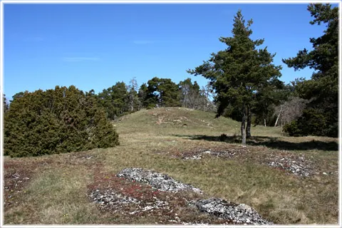 Visbjerg - promenadguiden, foto Bernt Enderborg