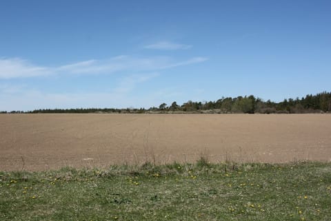 Stenåldersboplats i Garde