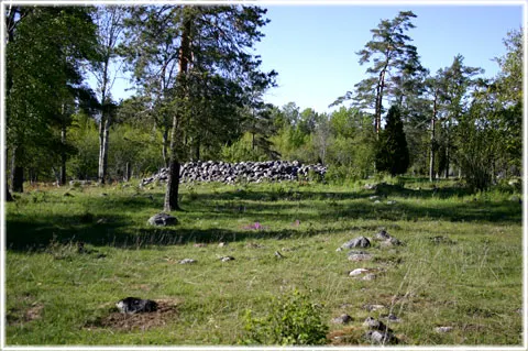 Fornbyn Fallet, foto Bernt Enderborg