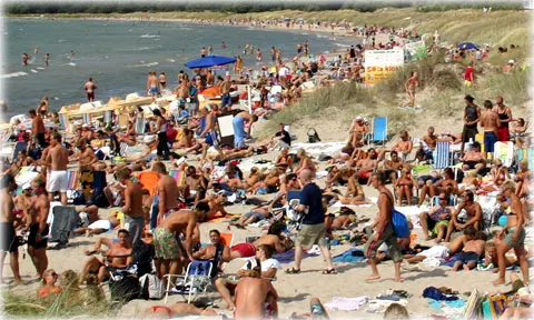 Packad sill, foto Bernt Enderborg