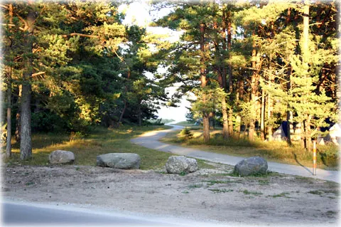 Med solen i ryggen, foto Bernt Enderborg