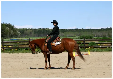 En cowgirl, foto Bernt Enderborg
