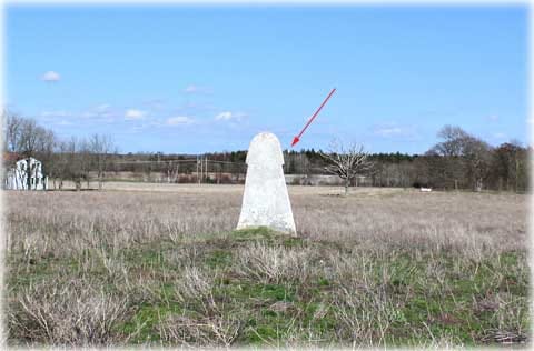 Suderbys bildsten på Gotland