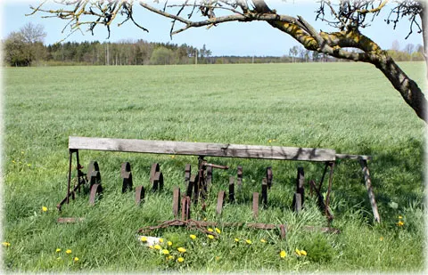 Gotland och sveariket, foto Bernt Enderborg