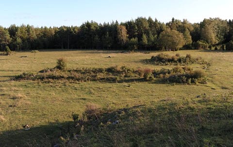 Bjärs hög i Norrlanda