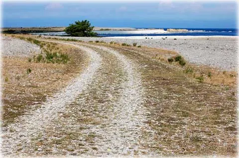 En vandring runt Fårö och Bästeträsk