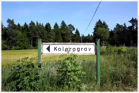 Koleragraven vid Kajlungs, foto Bernt Enderborg