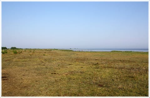 Trådstrand