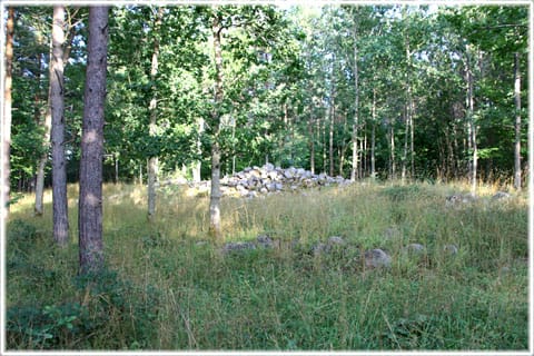 Högrör